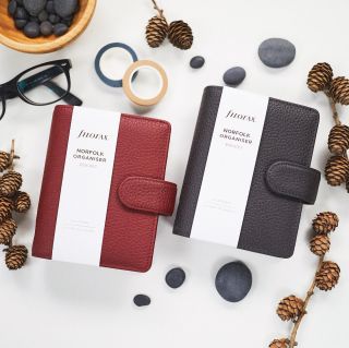 📚Do rodiny Norfolk přibyly tyto dvě barevné krásky 🍒🌚