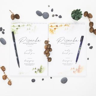 Doskladnili jsme oblíbené písanky ✍🏻 od @lesopiscz 🌲🧡